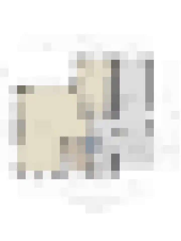 Haarspit 55 Denekamp thumbnail 47