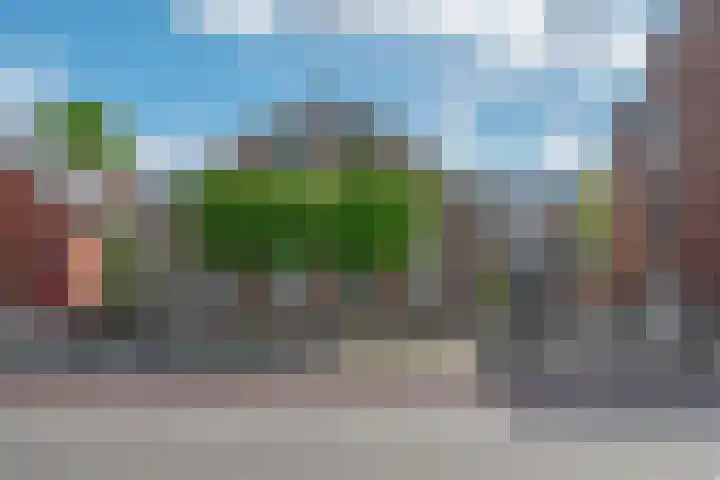 Haarspit 55 Denekamp thumbnail 49