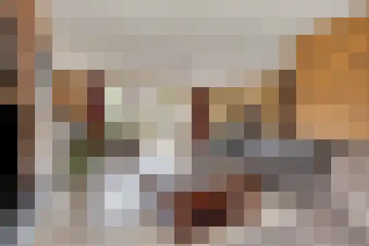 Haarspit 55 Denekamp thumbnail 5