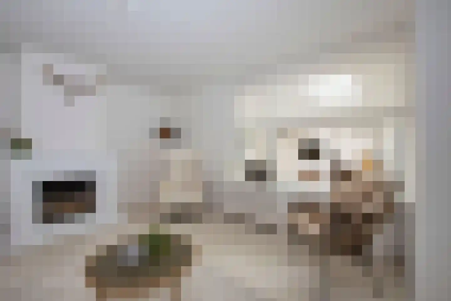 Haarspithoek 17 Enschede thumbnail 12
