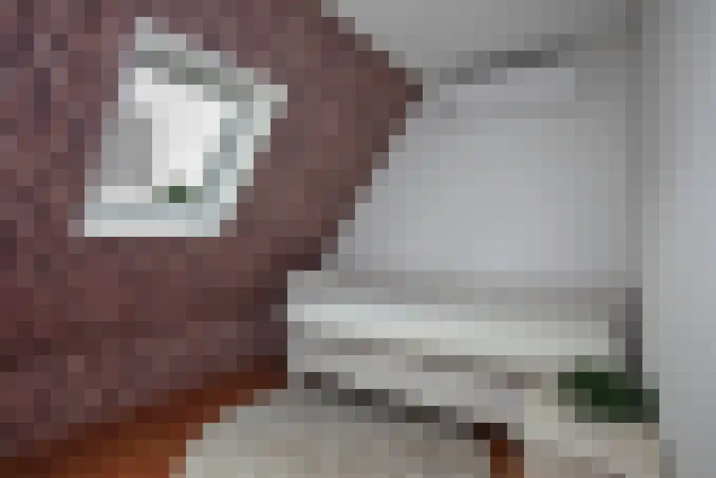 Haarspithoek 17 Enschede thumbnail 19