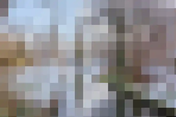 Haarspitstraat 32 Purmerend thumbnail 30