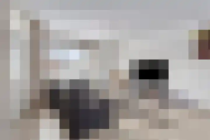 Haarspitstraat 32 Purmerend thumbnail 9
