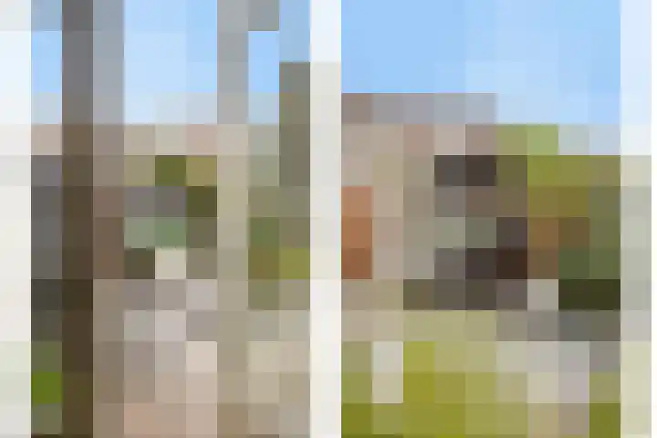 Haarspitstraat 67 Purmerend thumbnail 29