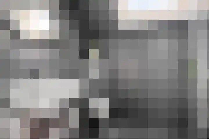 Haarspitstraat 67 Purmerend thumbnail 5