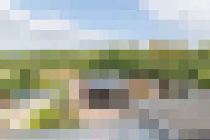 Haarspitveld 30 Houten thumbnail 25