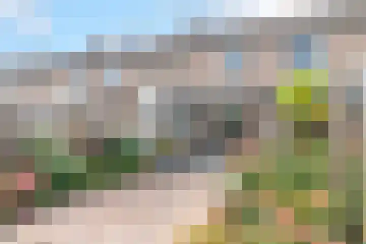 Haarspitveld 30 Houten thumbnail 27