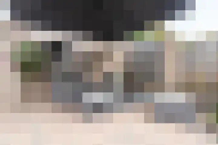Haarspitveld 30 Houten thumbnail 28