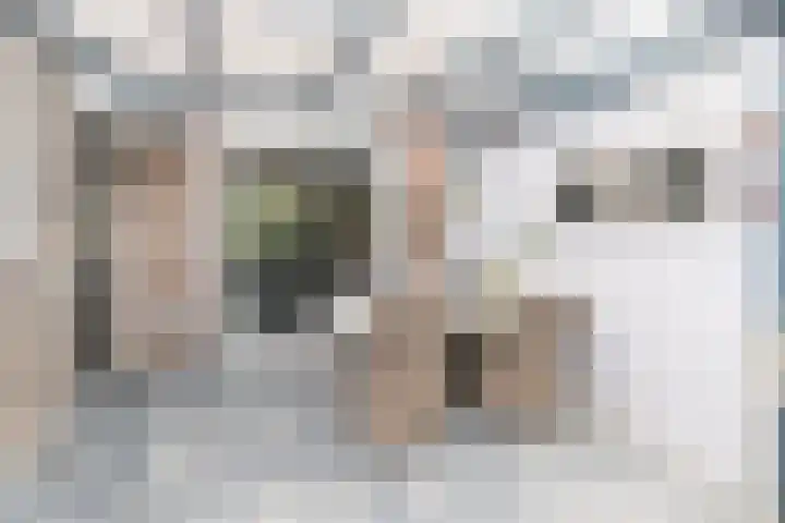 Haarspitveld 30 Houten thumbnail 29