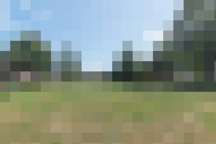 Haarspitveld 30 Houten thumbnail 30