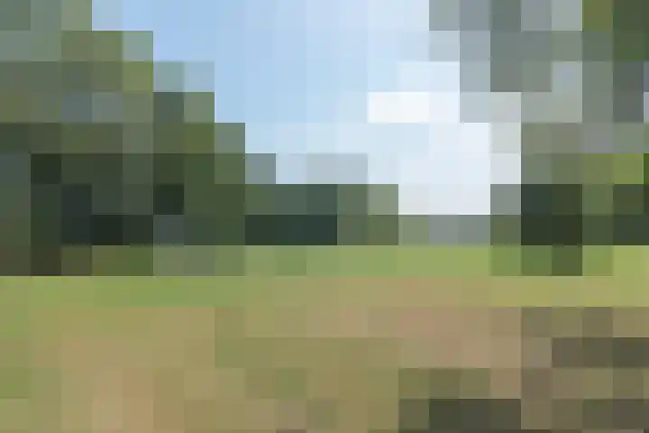 Haarspitveld 30 Houten thumbnail 31
