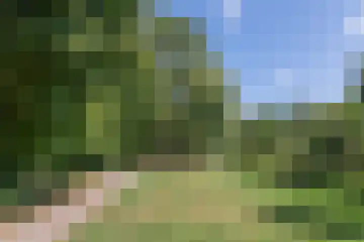 Haarspitveld 30 Houten thumbnail 33