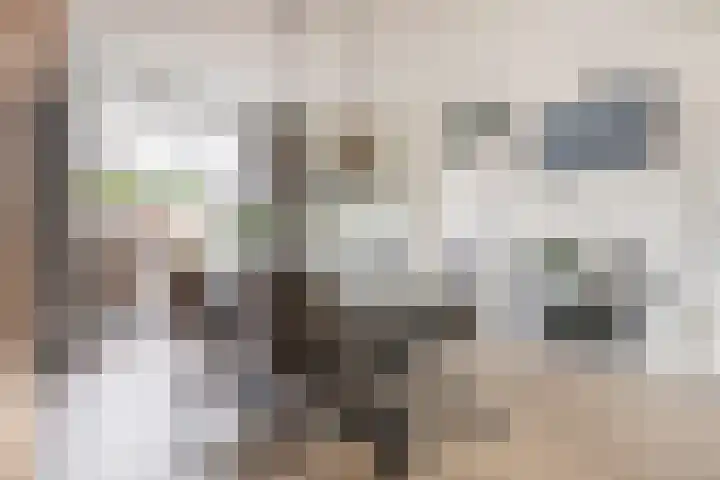 Haarspitveld 30 Houten thumbnail 9