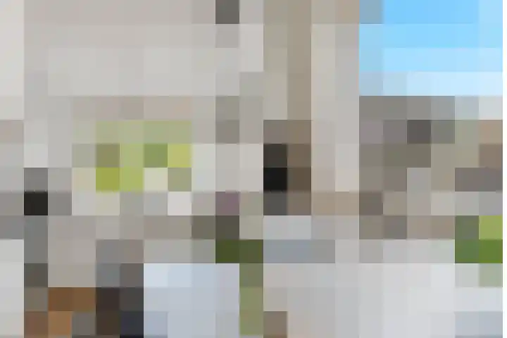 Haarspitveld 34 Houten thumbnail 10