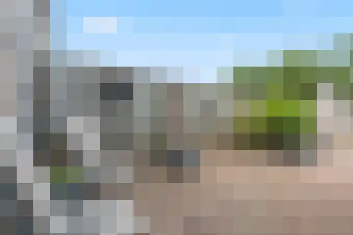 Haarspitveld 34 Houten thumbnail 11