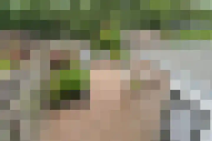 Haarspitveld 34 Houten thumbnail 13