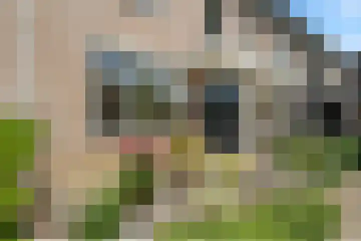 Haarspitveld 34 Houten thumbnail 31