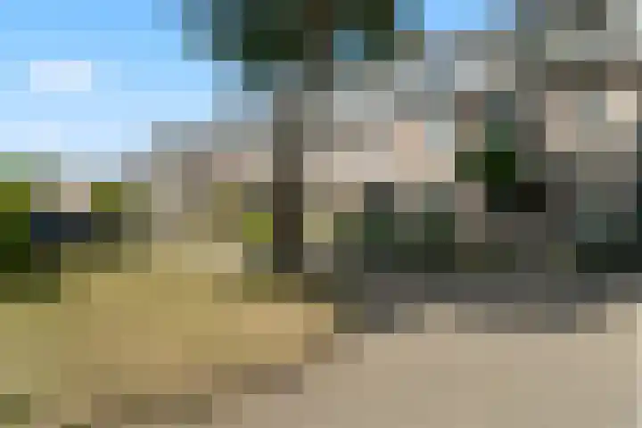 Haarspitveld 34 Houten thumbnail 33
