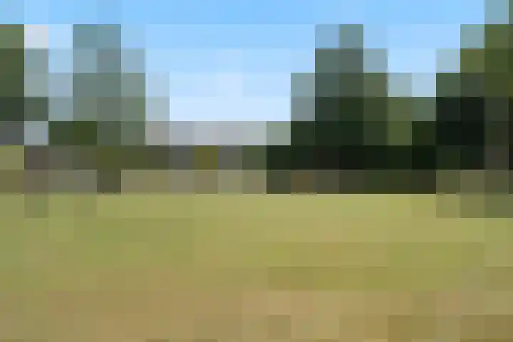 Haarspitveld 34 Houten thumbnail 34