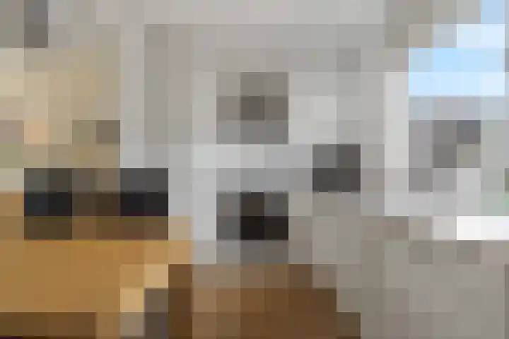 Haarspitveld 34 Houten thumbnail 7