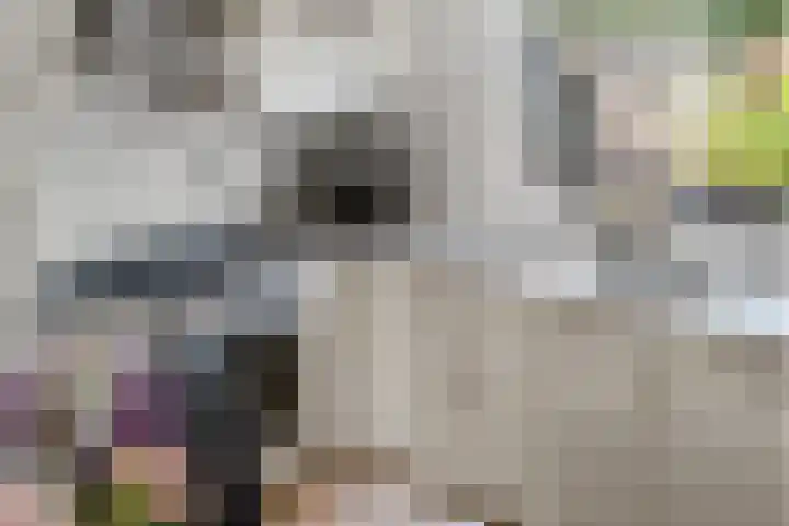 Haarspitveld 34 Houten thumbnail 9