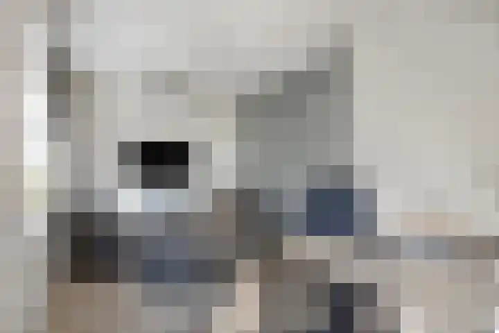 Haarsteegsestraat 102 Haarsteeg thumbnail 21