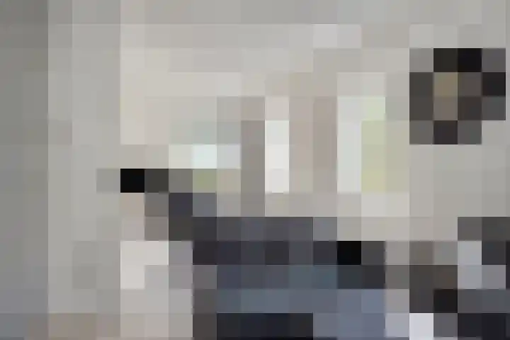 Haarsteegsestraat 102 Haarsteeg thumbnail 22