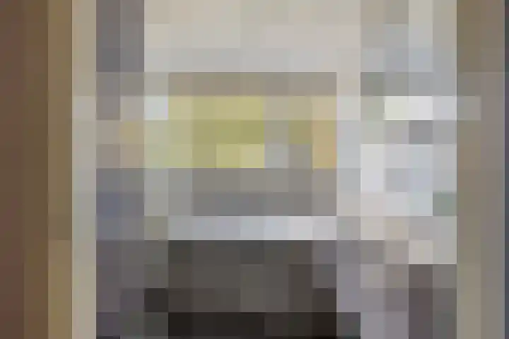 Haarsteegsestraat 102 Haarsteeg thumbnail 32