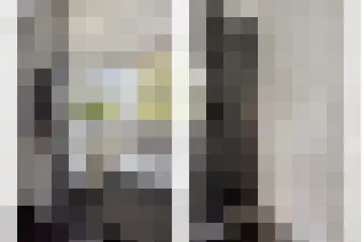 Haarsteegsestraat 102 Haarsteeg thumbnail 33