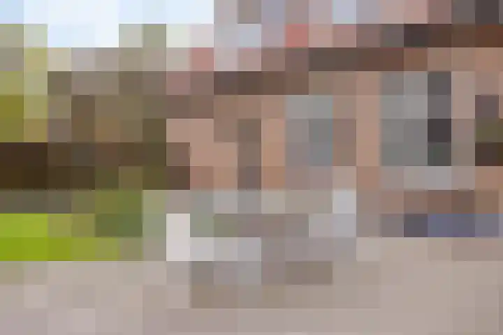 Haarsteegsestraat 102 Haarsteeg thumbnail 35