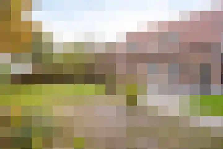 Haarsteegsestraat 102 Haarsteeg thumbnail 36