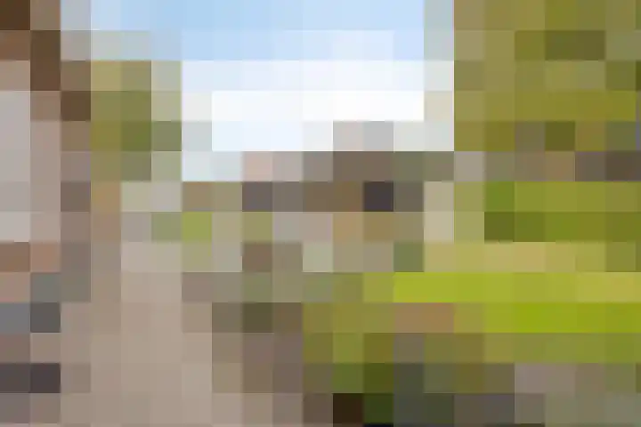 Haarsteegsestraat 102 Haarsteeg thumbnail 37