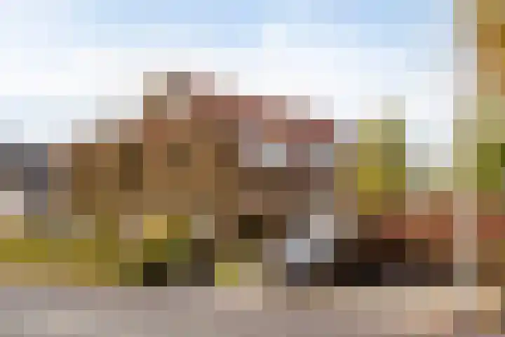 Haarsteegsestraat 102 Haarsteeg thumbnail 4