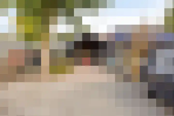 Haarsteegsestraat 102 Haarsteeg thumbnail 45