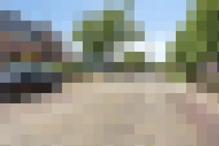 Haarsteegsestraat 29 B Haarsteeg thumbnail 19