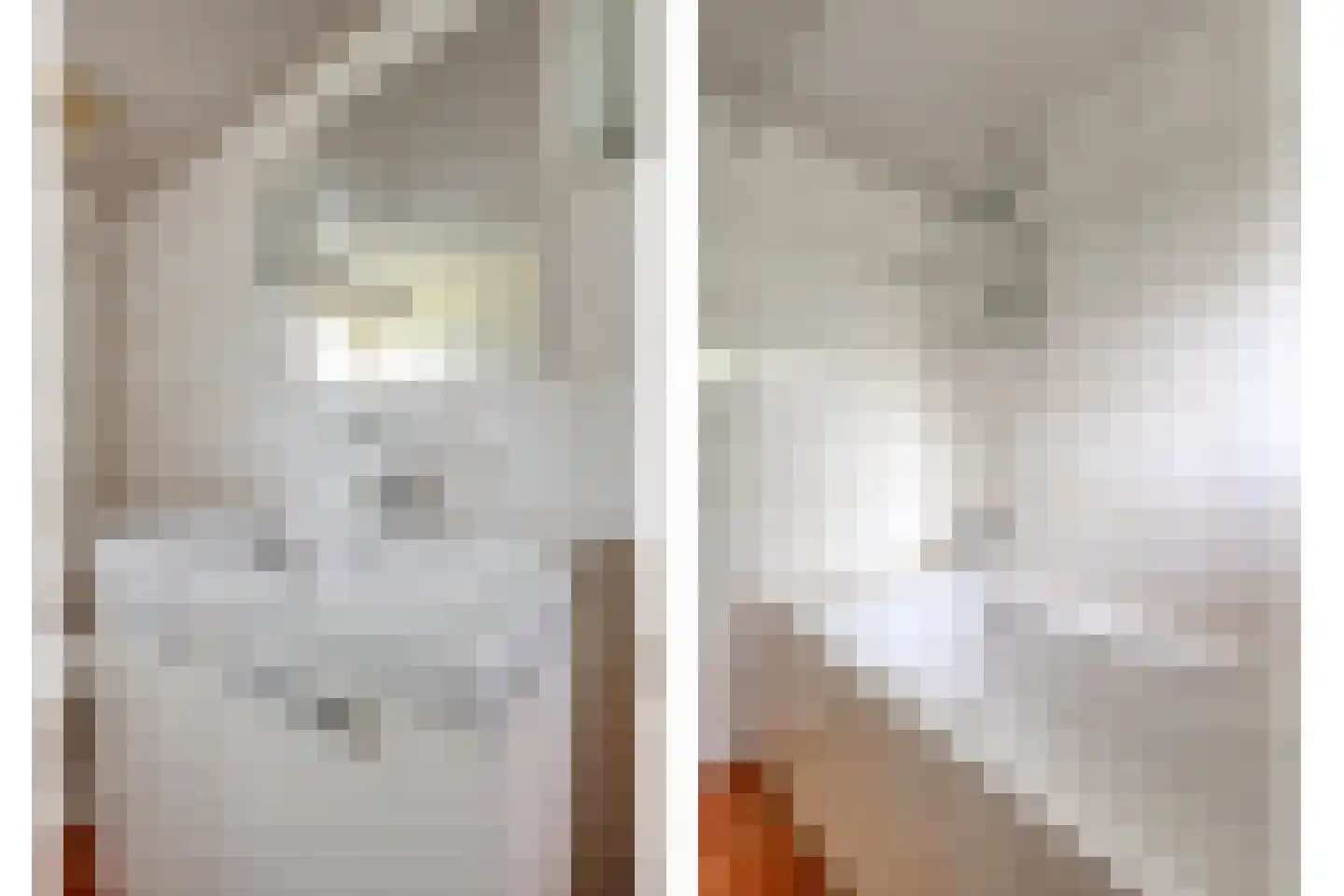 Haarsteegsestraat 35 Haarsteeg thumbnail 11