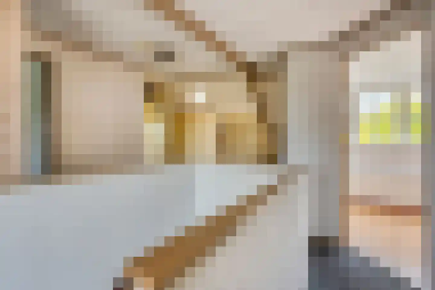 Haarsteegsestraat 35 Haarsteeg thumbnail 12