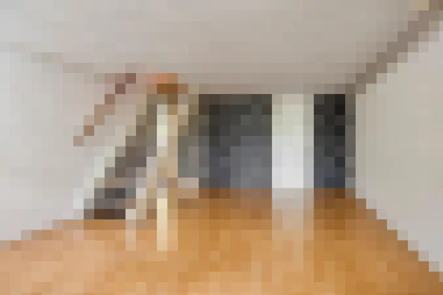 Haarsteegsestraat 35 Haarsteeg thumbnail 26