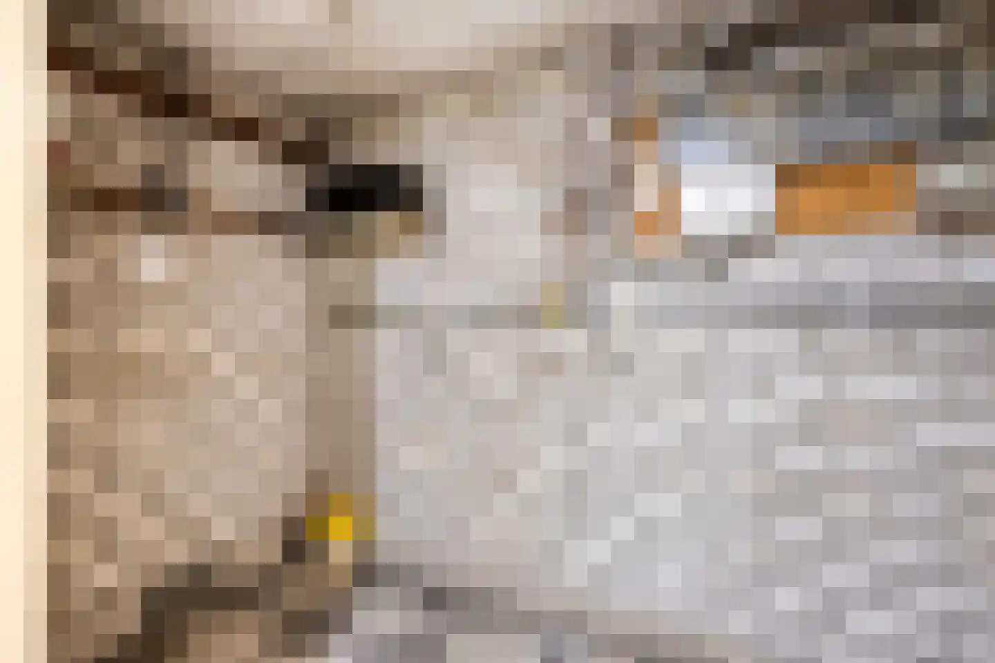 Haarsteegsestraat 35 Haarsteeg thumbnail 36