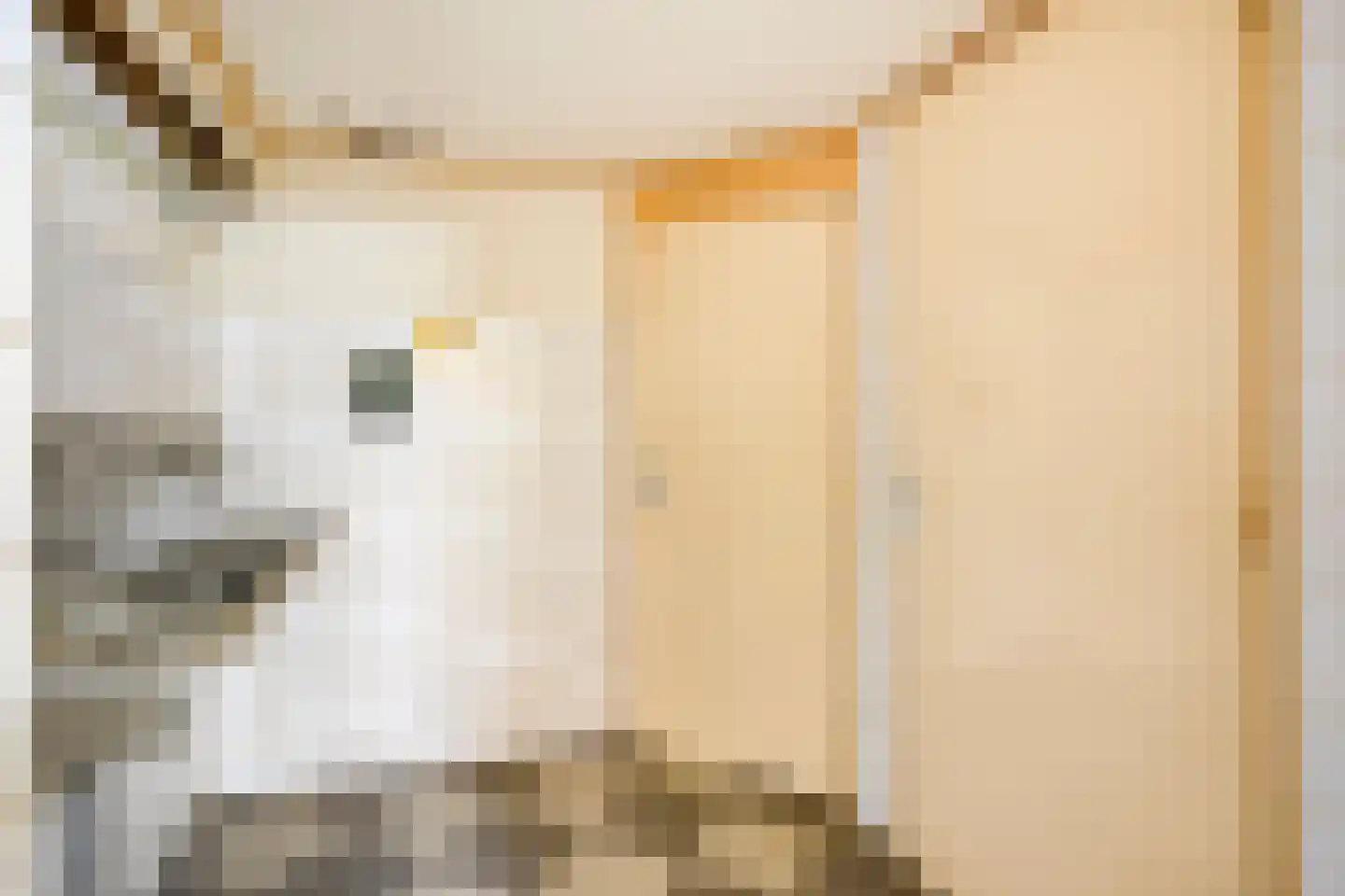 Haarsteegsestraat 35 Haarsteeg thumbnail 38