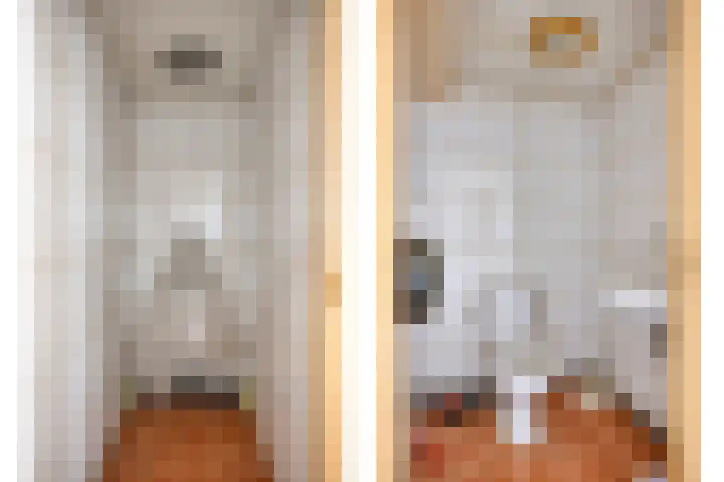 Haarsteegsestraat 35 Haarsteeg thumbnail 39