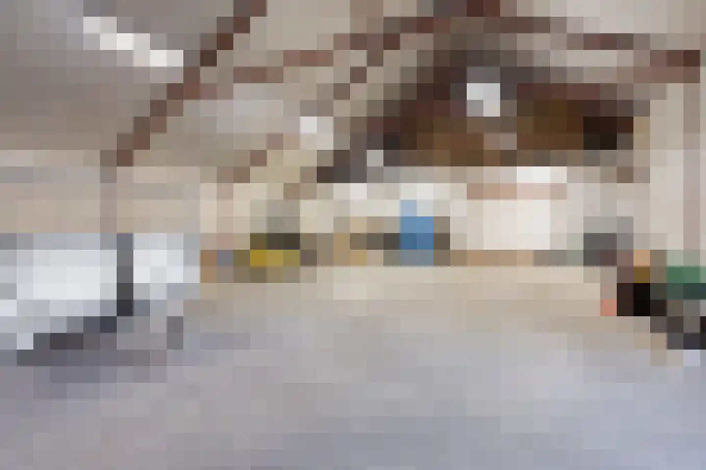 Haarsteegsestraat 35 Haarsteeg thumbnail 43