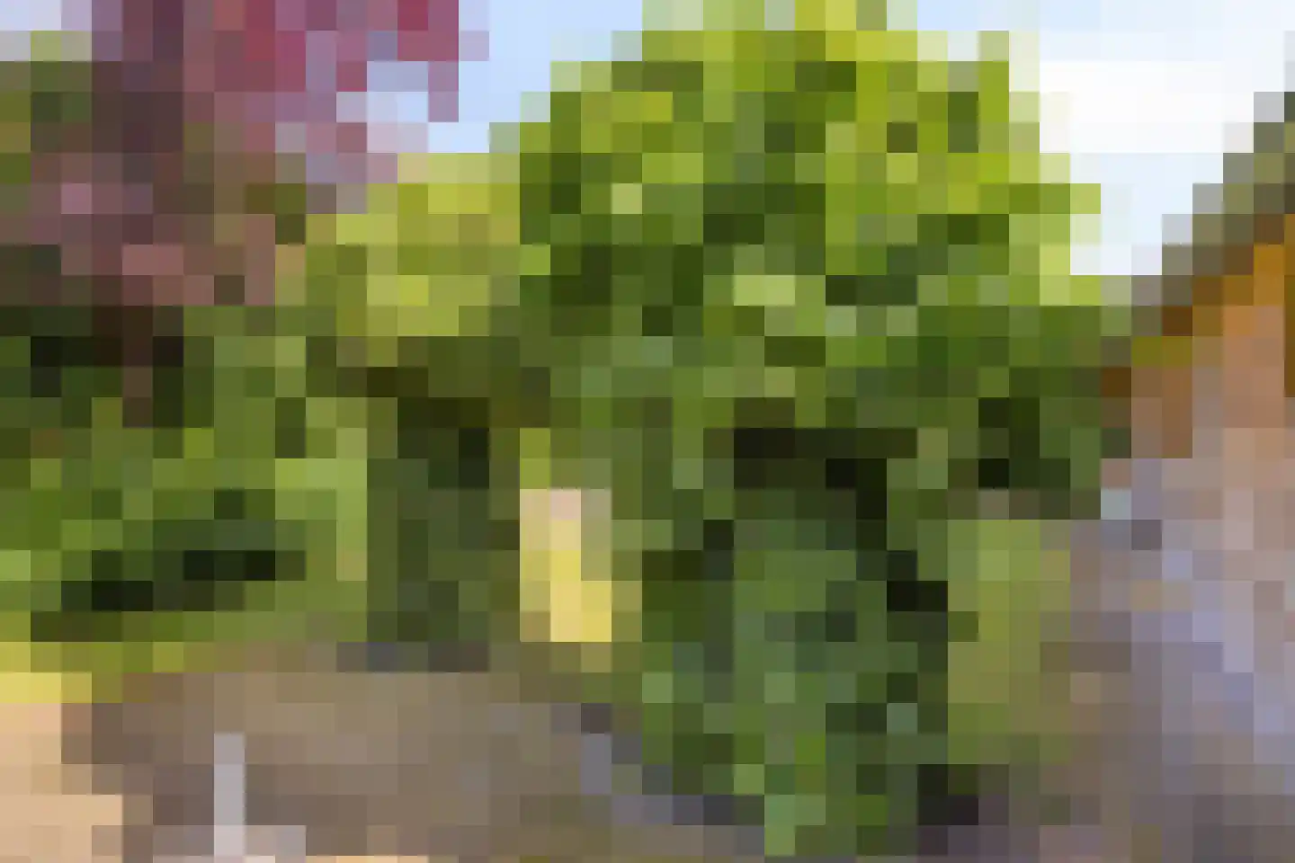Haarsteegsestraat 35 Haarsteeg thumbnail 48