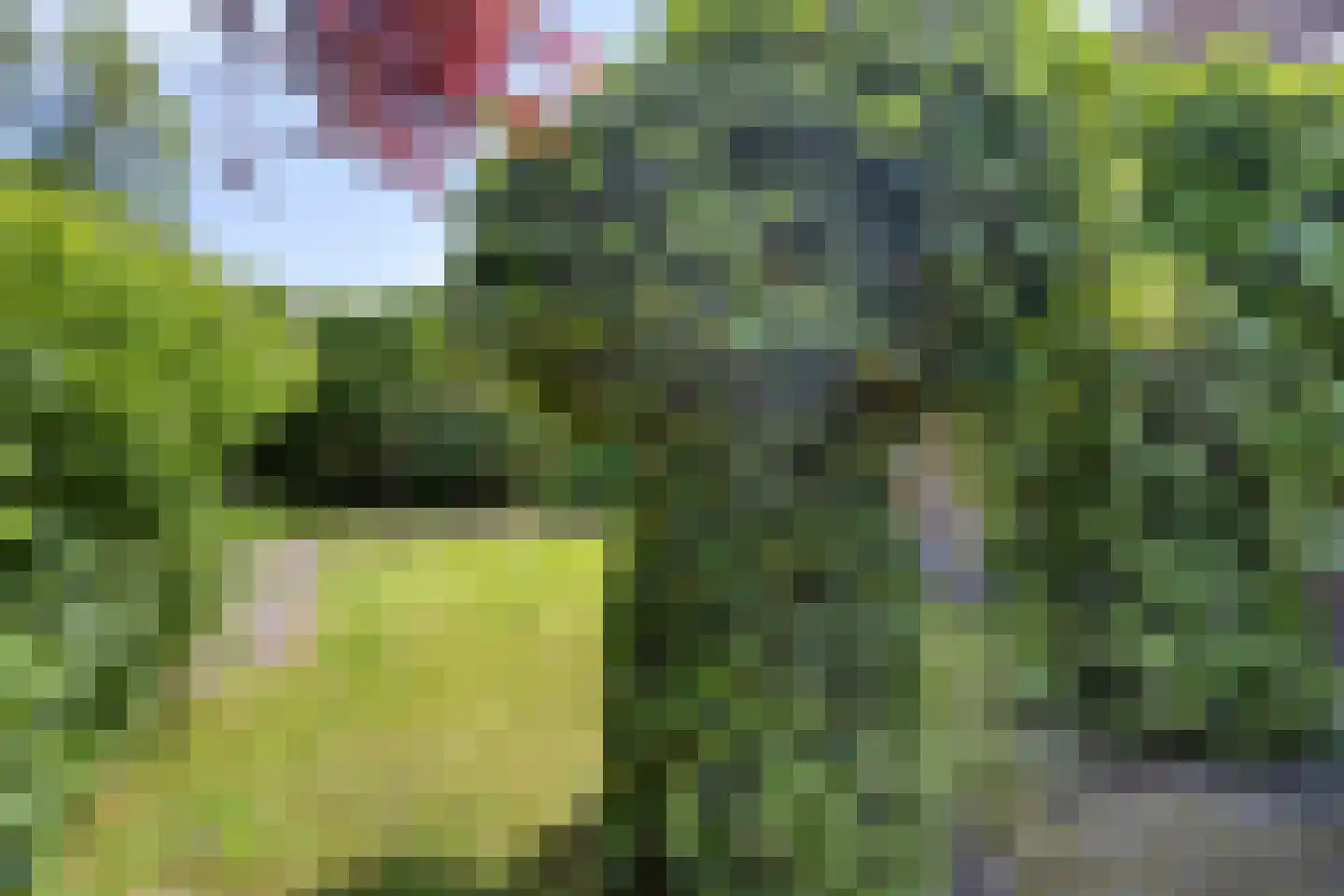 Haarsteegsestraat 35 Haarsteeg thumbnail 49