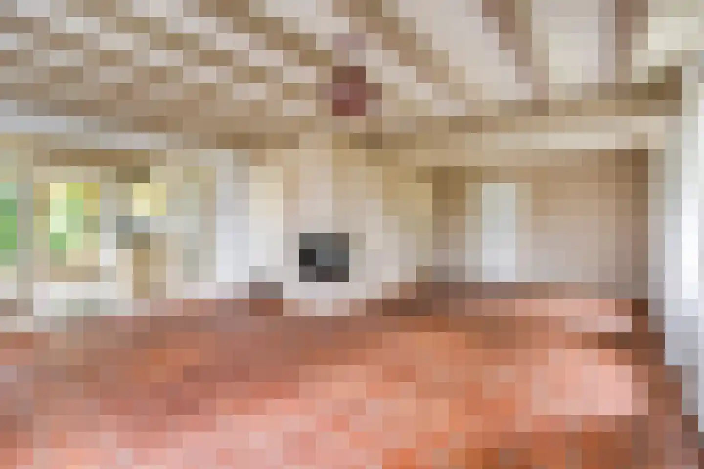 Haarsteegsestraat 35 Haarsteeg thumbnail 6