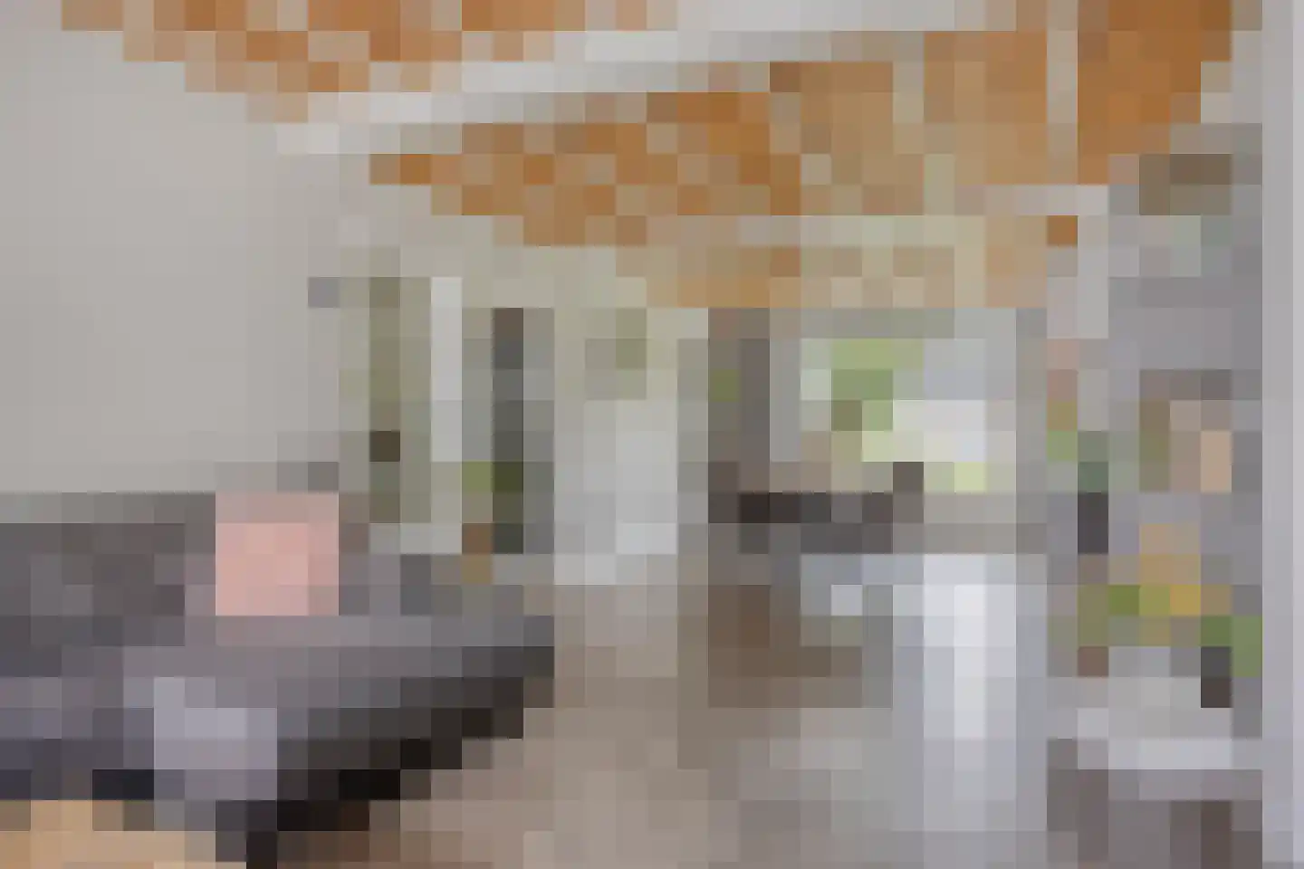 Haarsteegsestraat 51 A Haarsteeg thumbnail 10