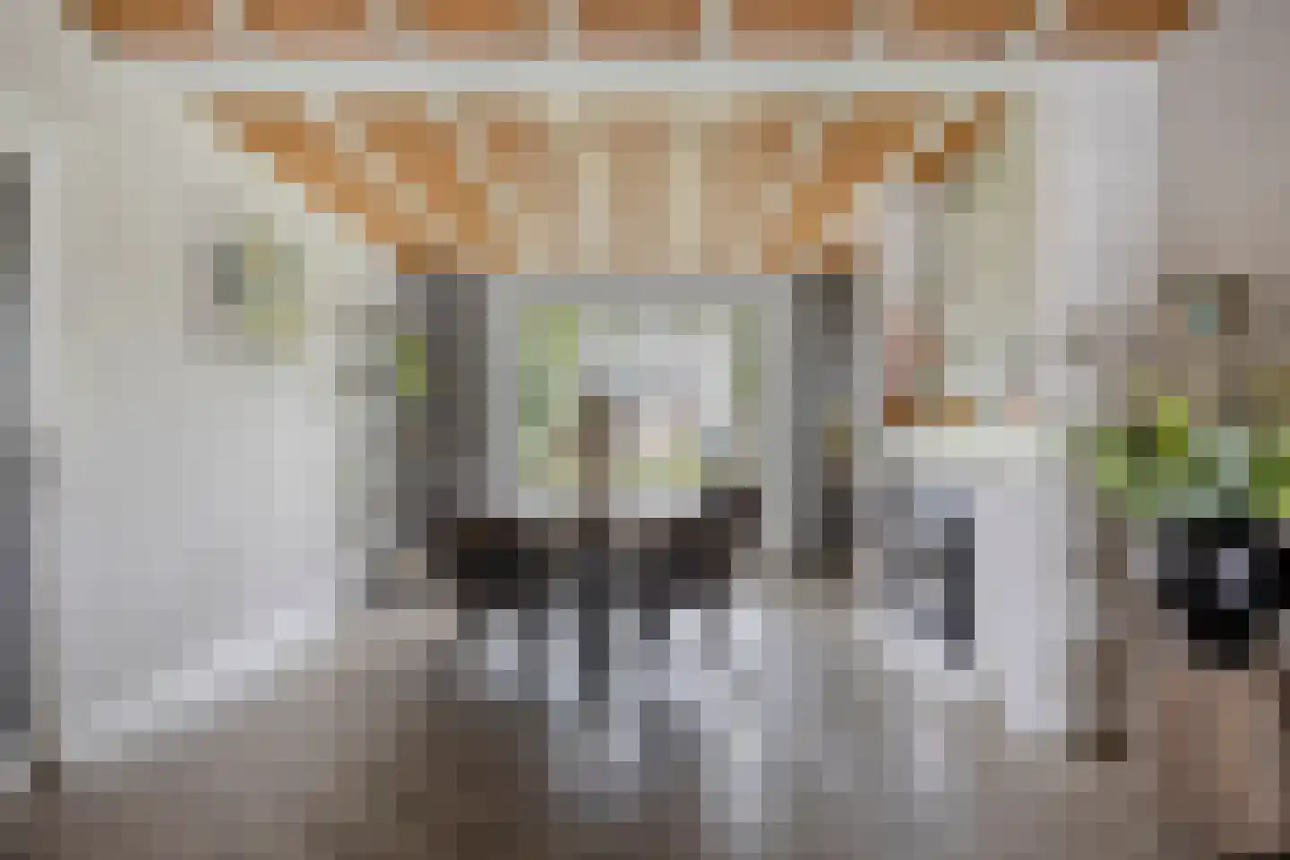 Haarsteegsestraat 51 A Haarsteeg thumbnail 11