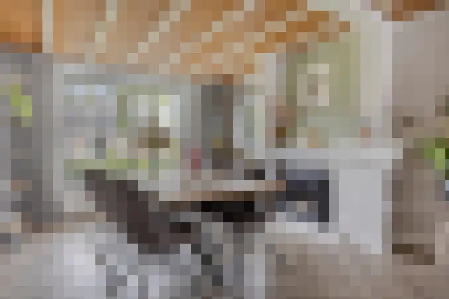 Haarsteegsestraat 51 A Haarsteeg thumbnail 12