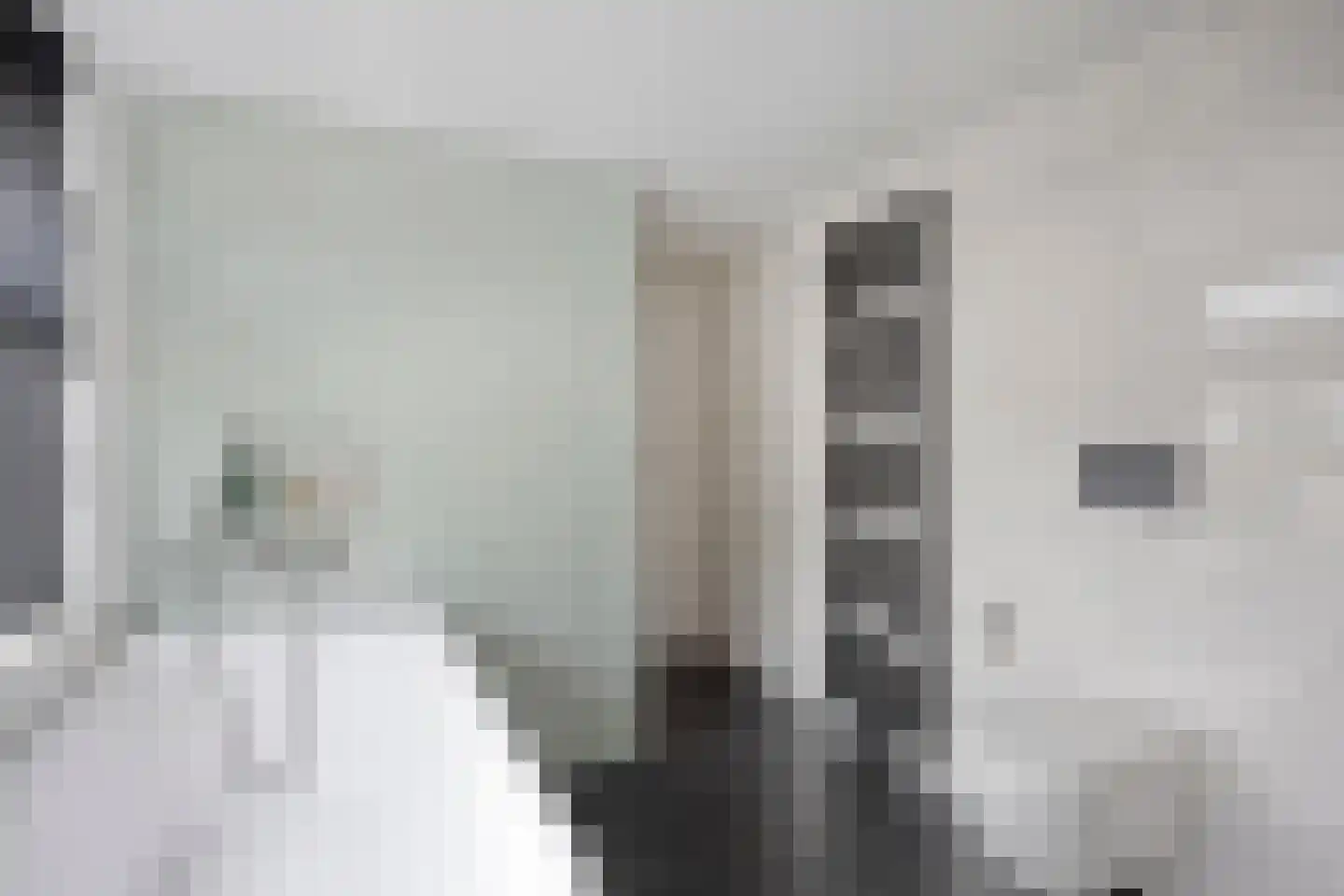 Haarsteegsestraat 51 A Haarsteeg thumbnail 32