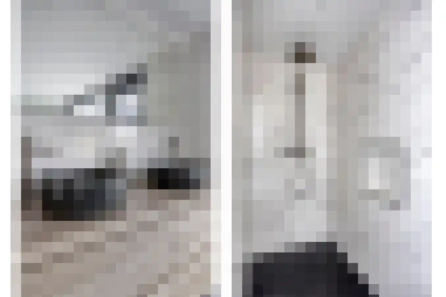 Haarsteegsestraat 51 A Haarsteeg thumbnail 33